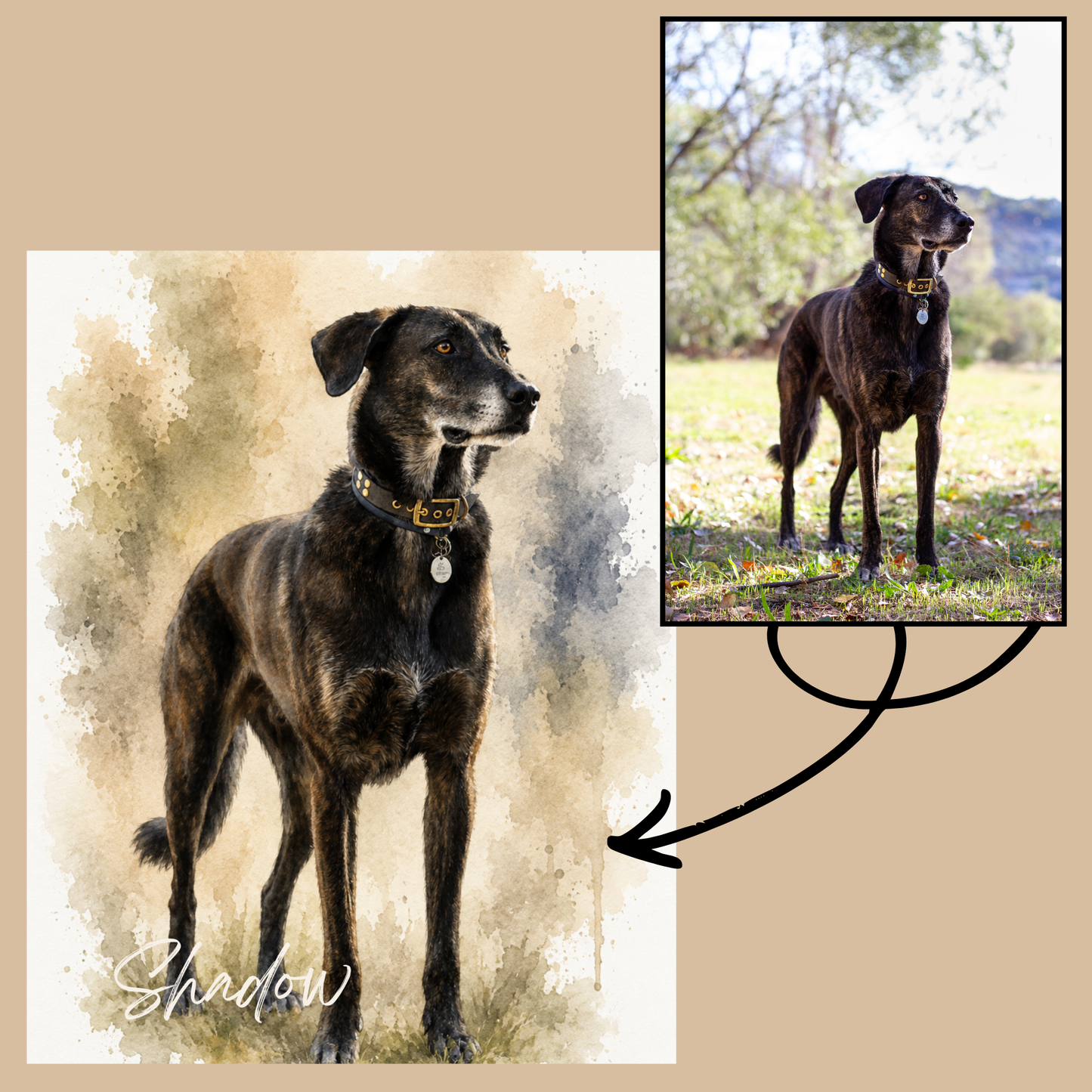 Avant après portrait aquarelle personnalisé de chien avec photo originale de l’animal sur plaque aluminium