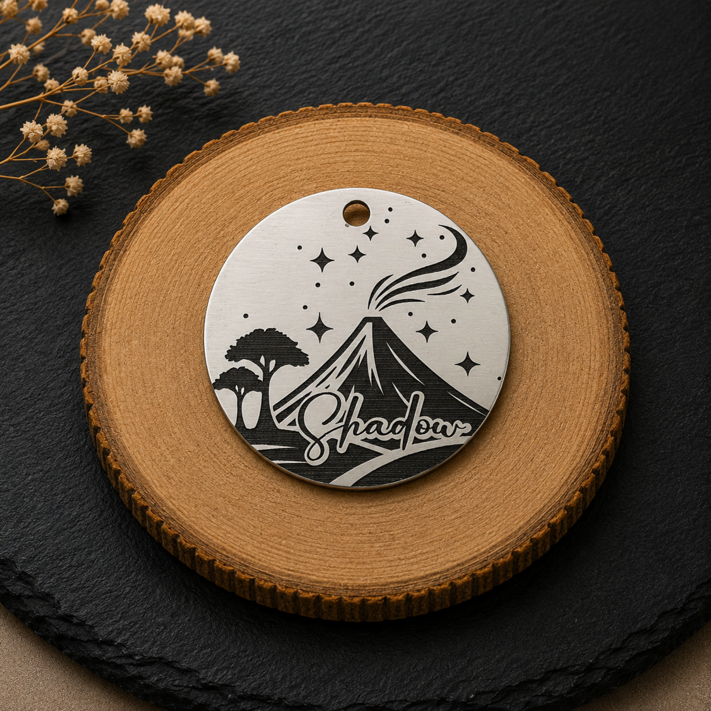 Médaille personnalisée pour chien en acier inoxydable avec motif volcan, étoiles et prénom