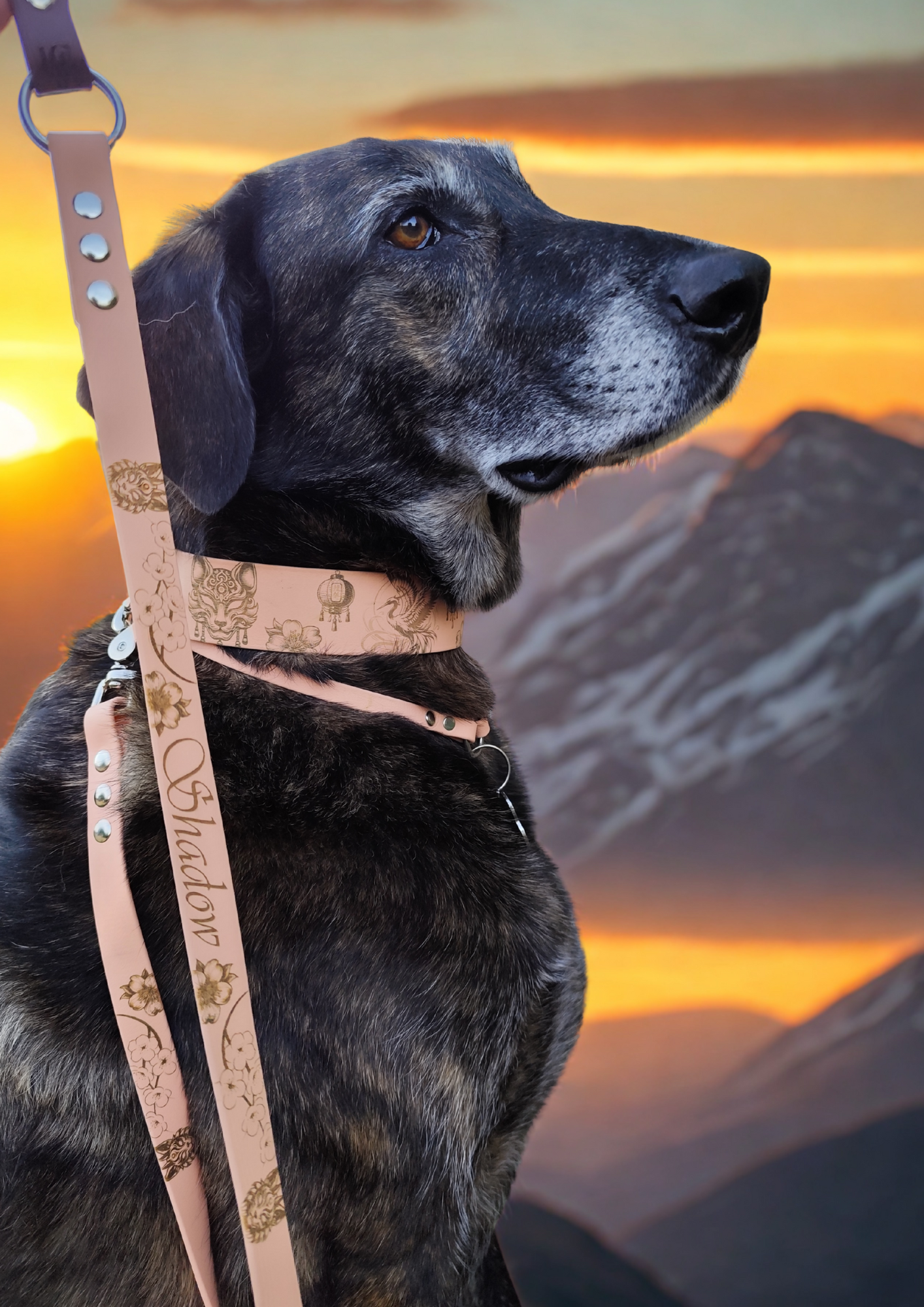 Laisse pour chien - Mamori -