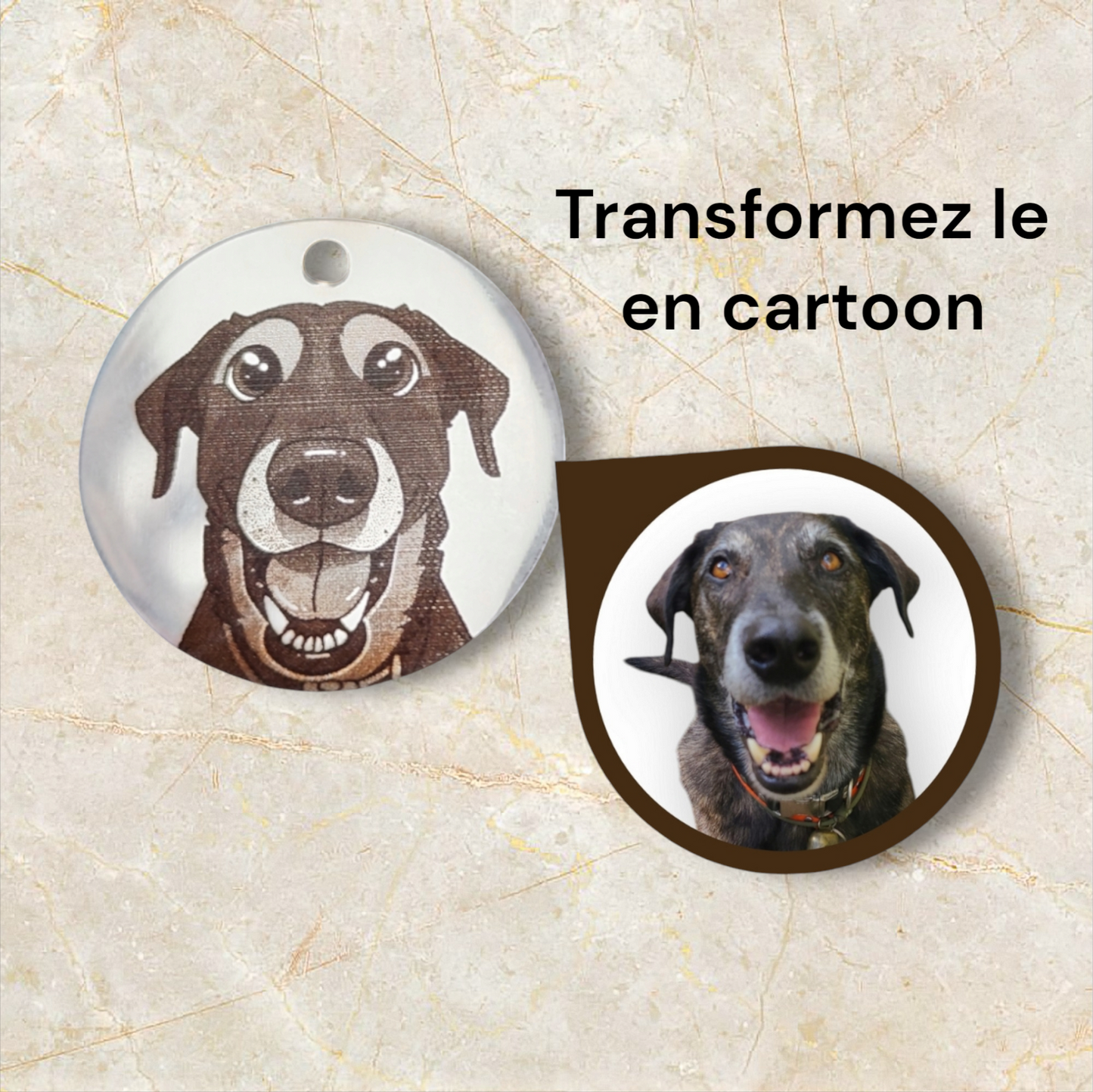 médaille portrait ou cartoon