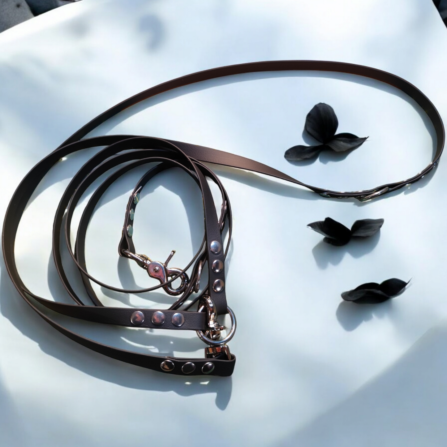 Laisse multi position en PVC