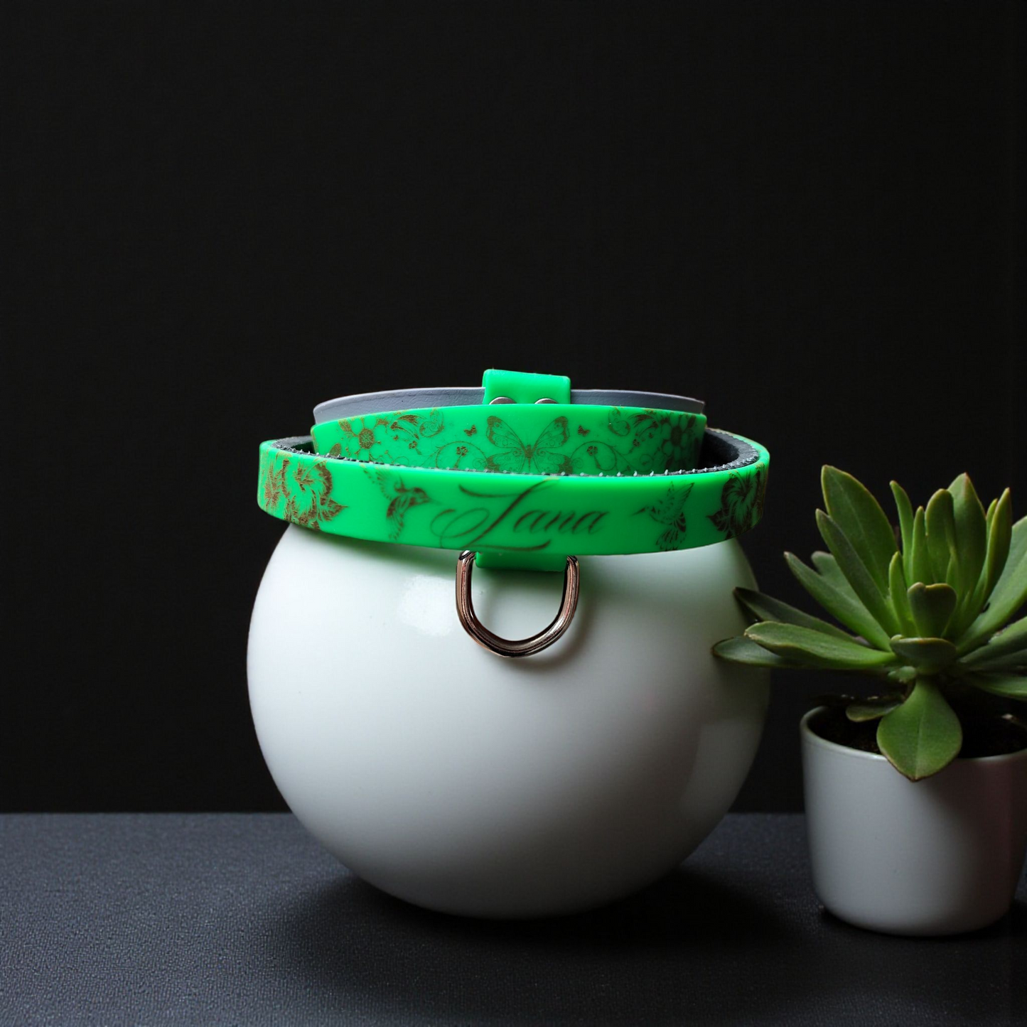 collier différente couleur avec nom du chien sur la poignée