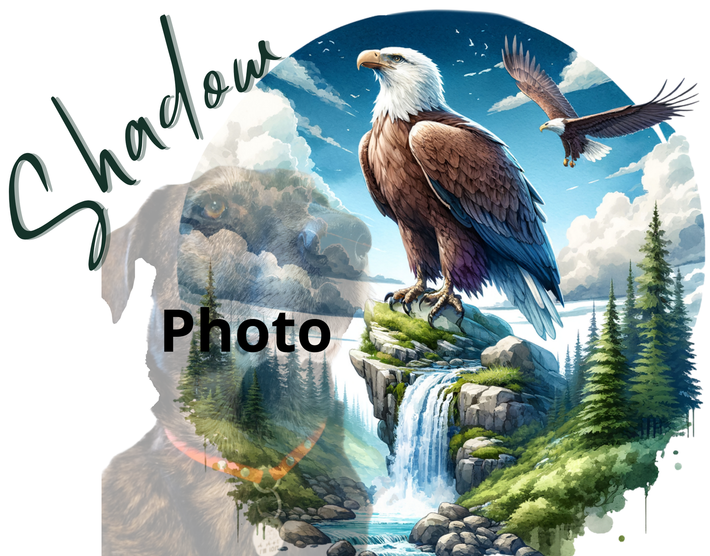 Gourde pour chien personnalisée