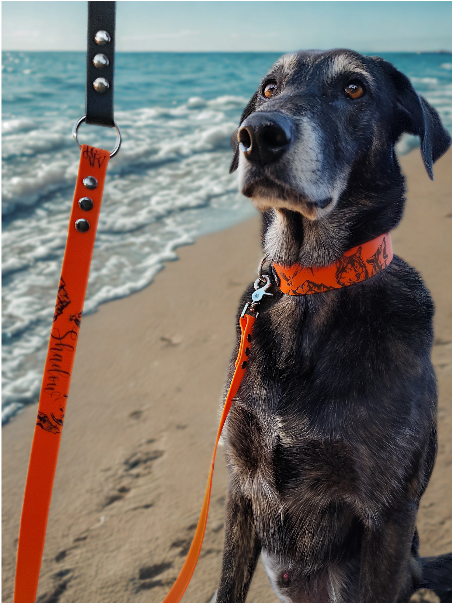 Laisse pour chien - Wild Spirit -