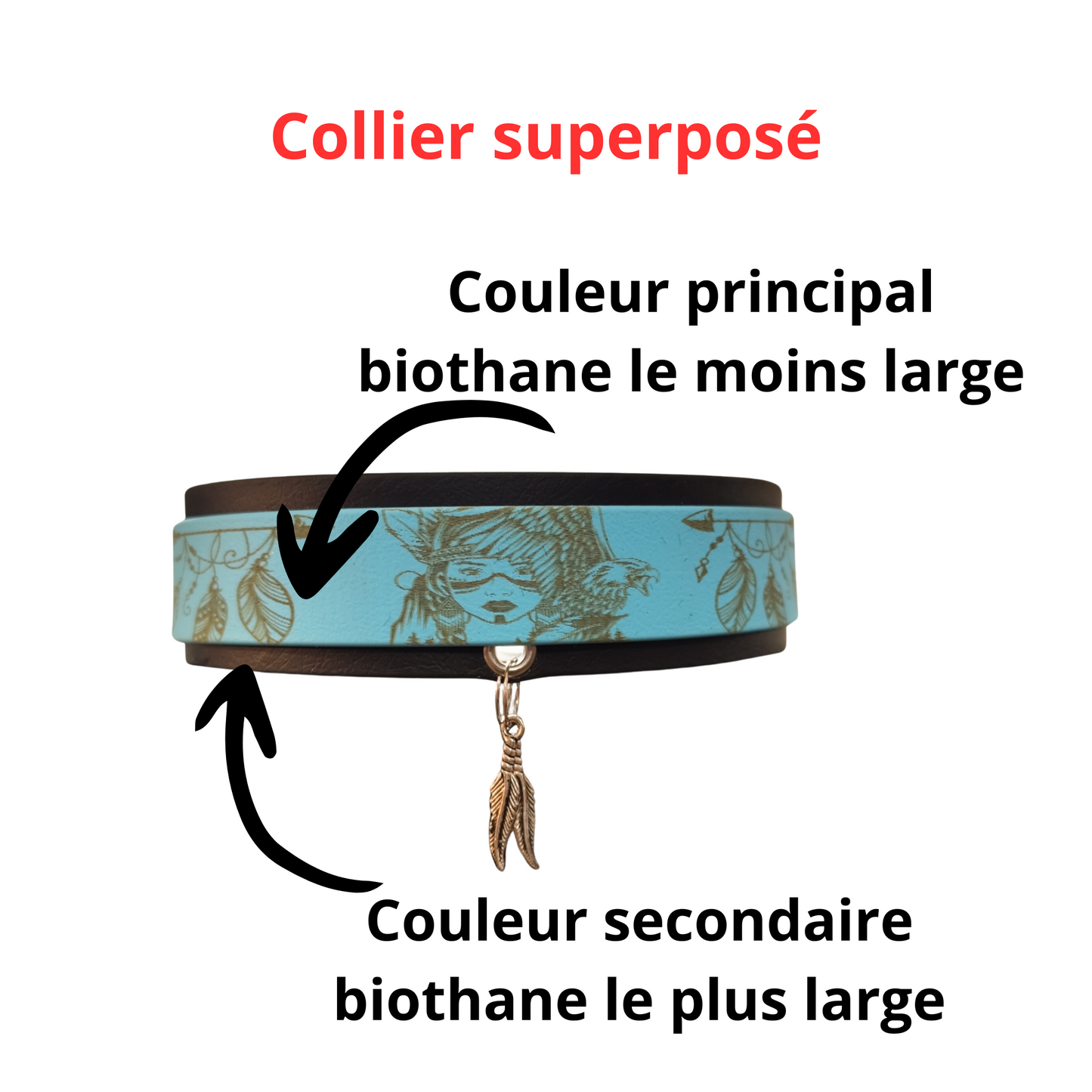 Collier chien 100 % personnalisable en biothane