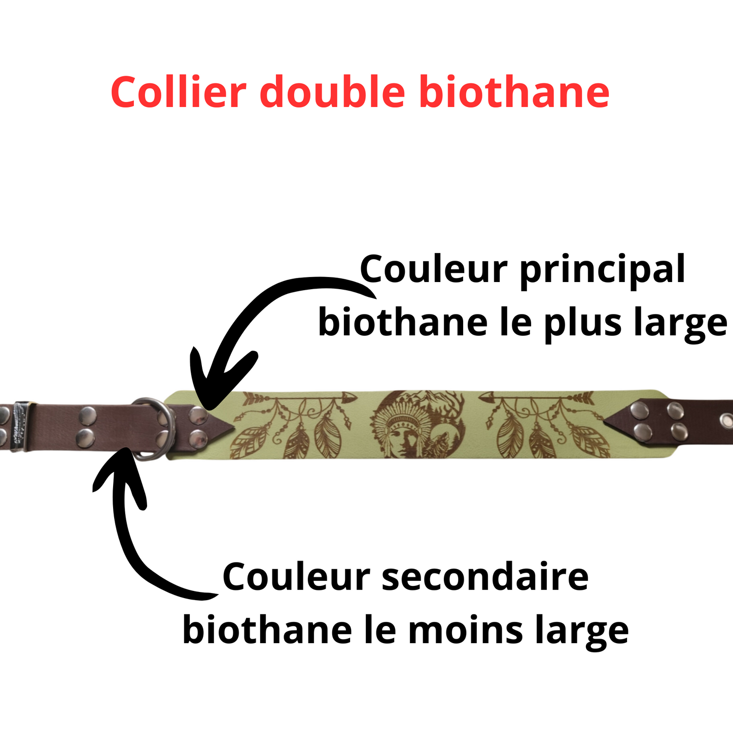 Collier chien Héritage personnalisé – bijou élégant en biothane