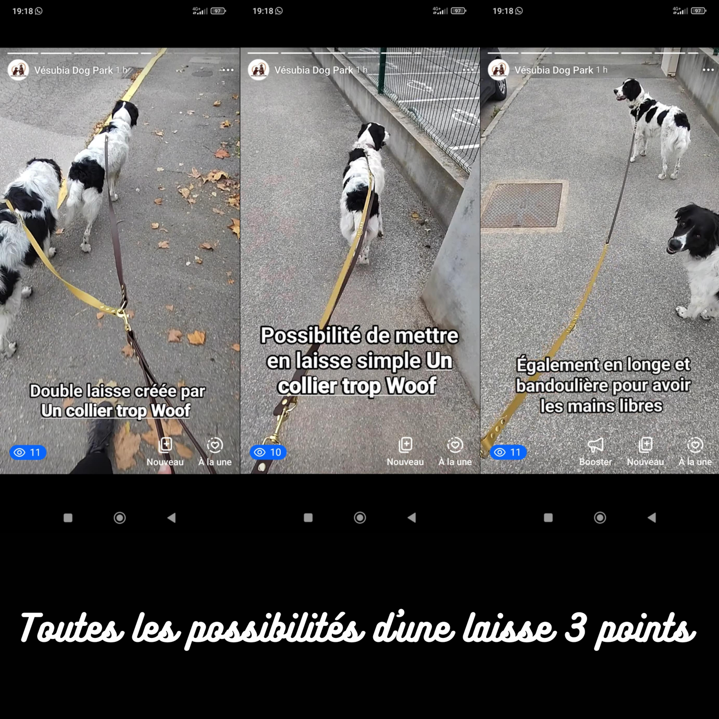 Poignée pour harnais