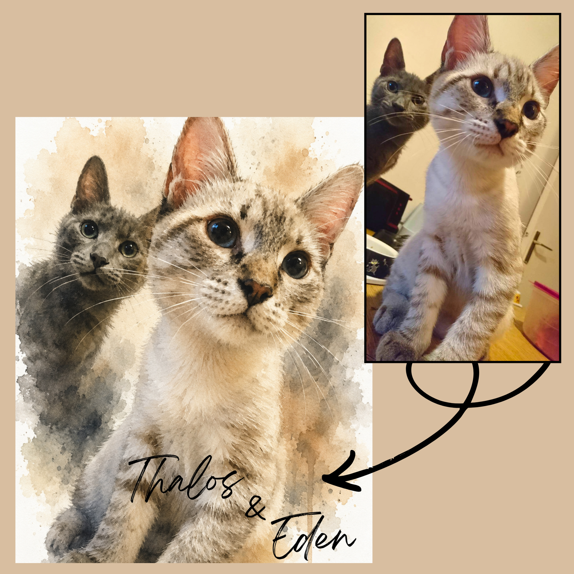 Comparaison entre photo réelle de chats et portrait aquarelle personnalisé sur aluminium