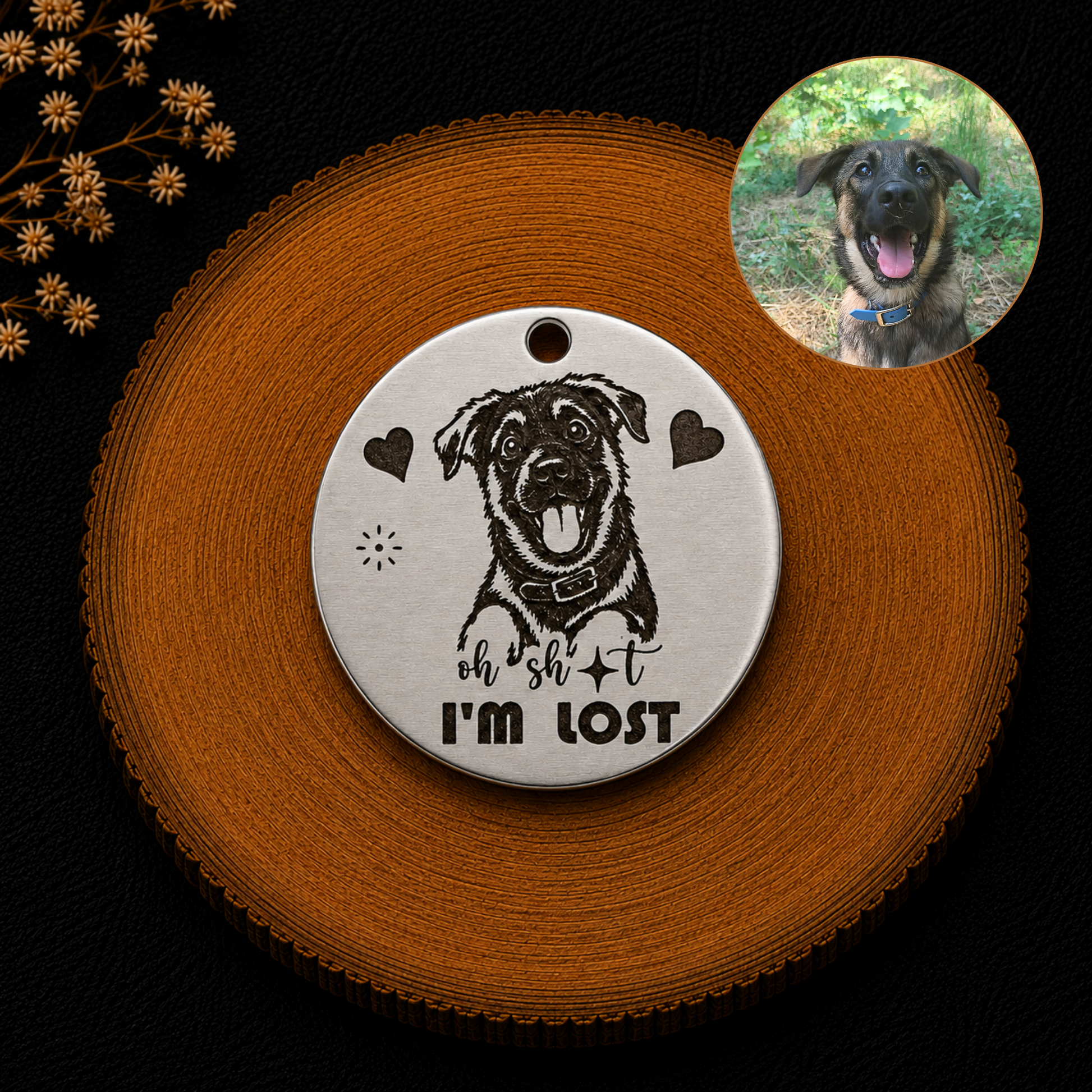 Médaille d’identification pour chien ronde personnalisée  avec la photo du chien caricaturée et  gravée avec  message Oh Sht I’m Lost
