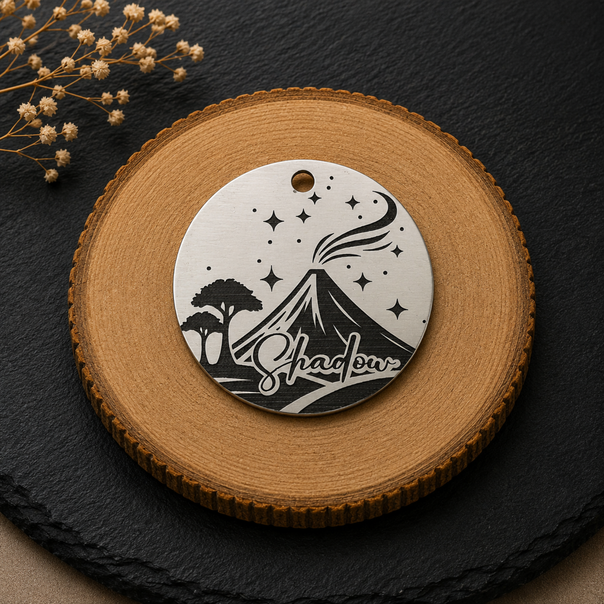 Médaille personnalisée pour chien en acier inoxydable avec motif volcan, étoiles et prénom 
