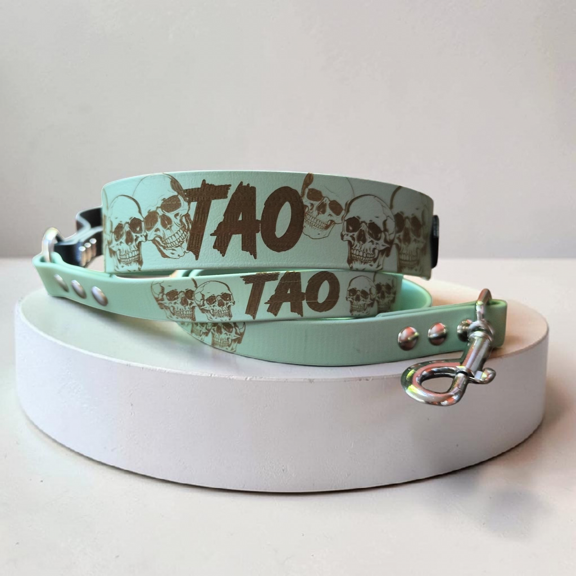 Ensemble collier et laisse pour chien en biothane assortis avec motif têtes de mort gravées, accessoires personnalisés résistants et faits main.