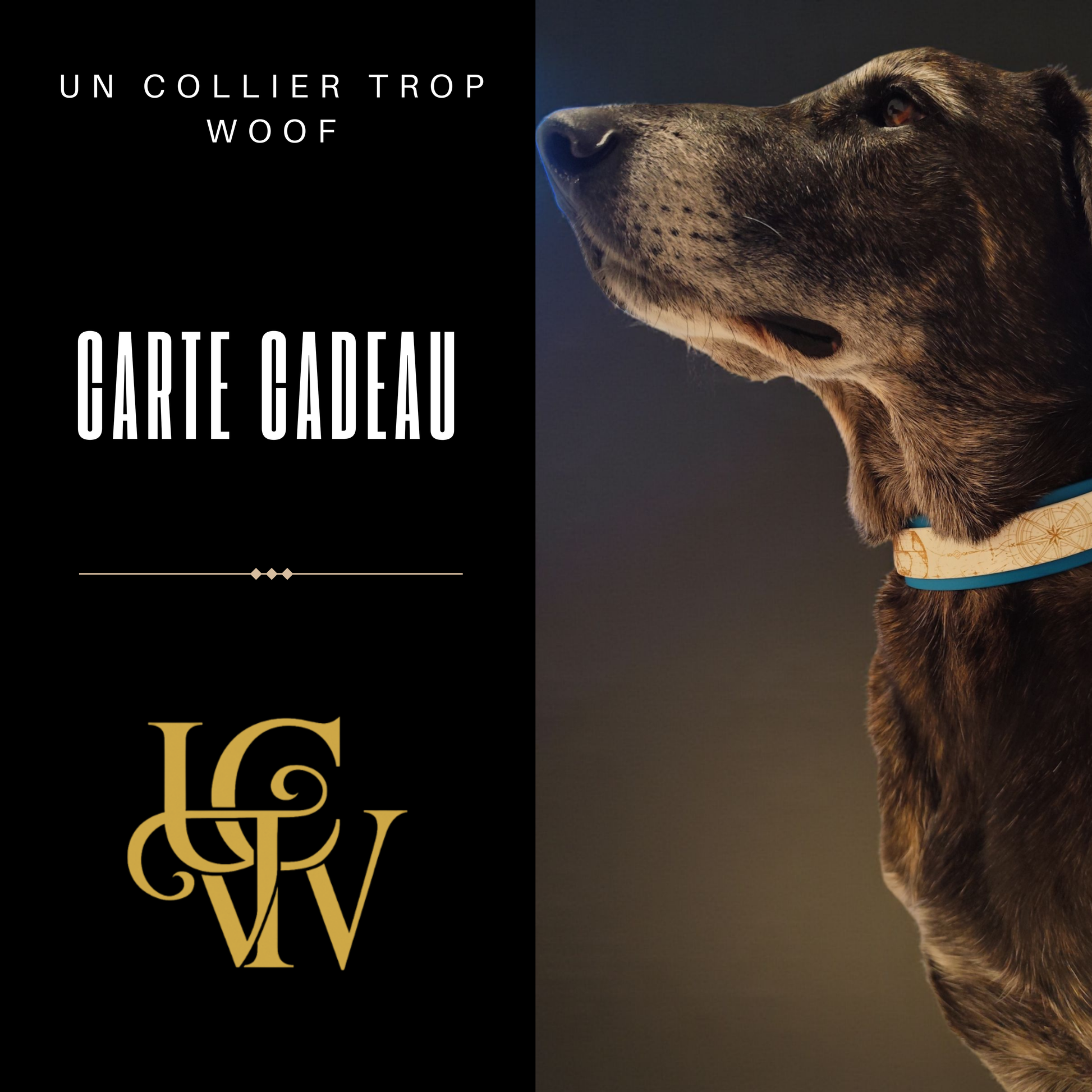 Carte cadeau pour boutique d’accessoires pour chiens, idéale pour offrir colliers en biothane, laisses personnalisées et médailles gravées.