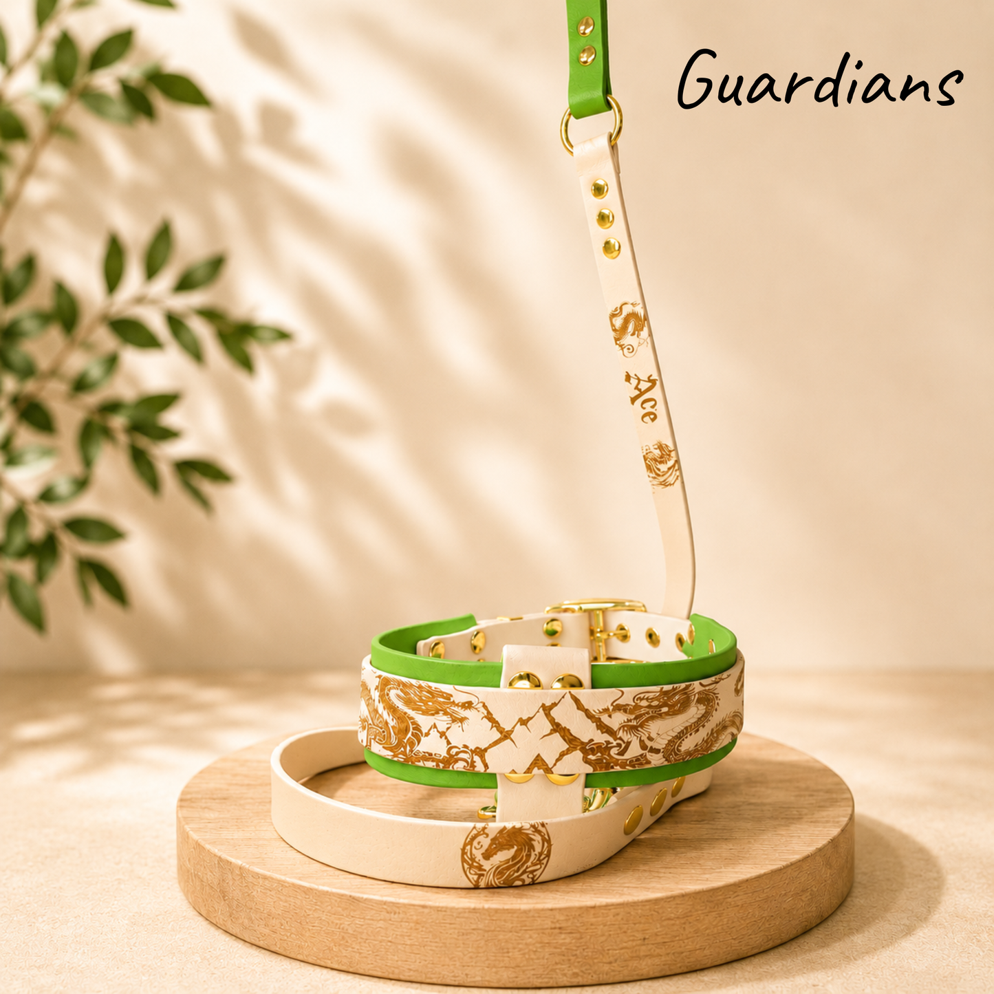 Ensemble collier et laisse Guardians en Biothane personnalisés pour chien