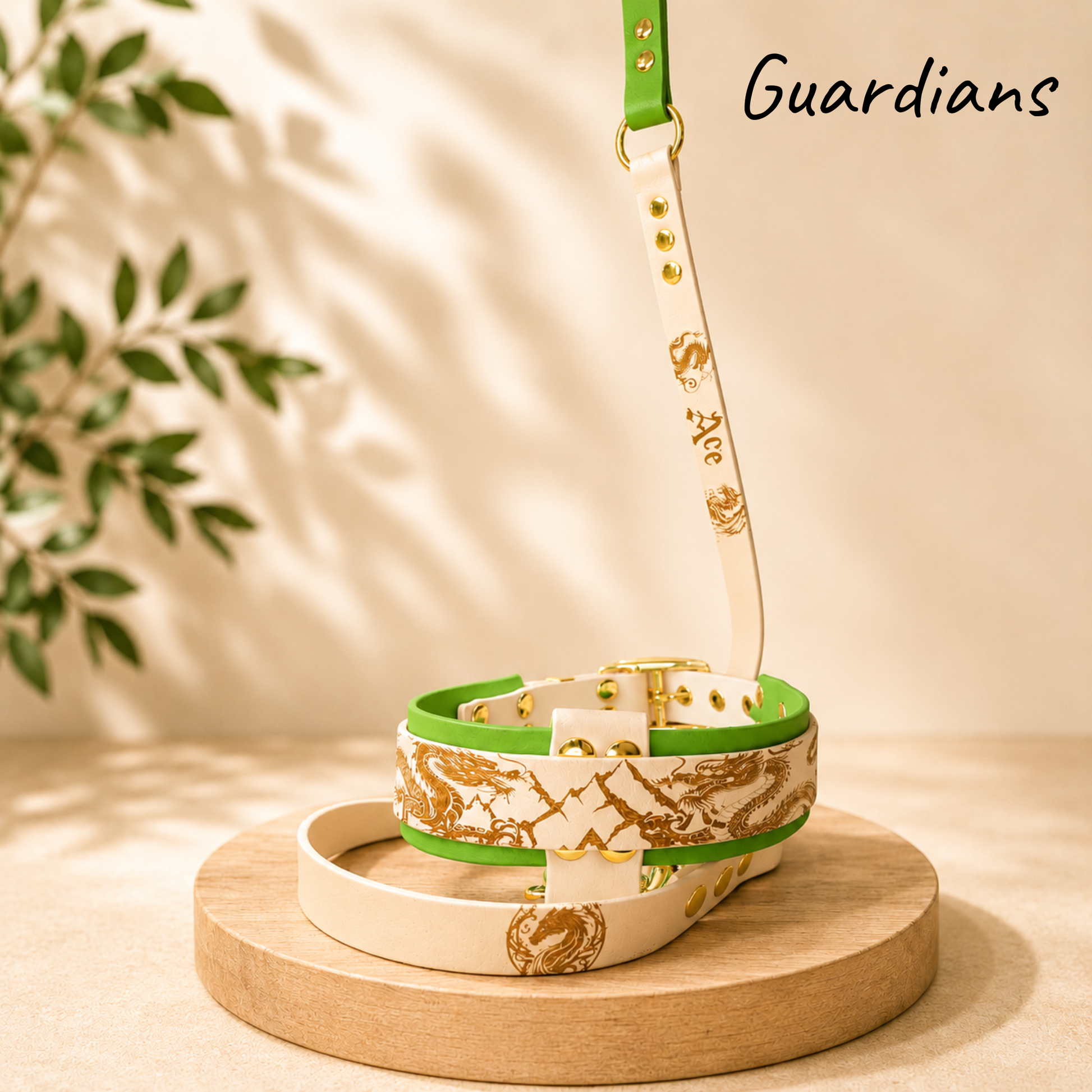Ensemble collier et laisse Guardians en Biothane personnalisés pour chien