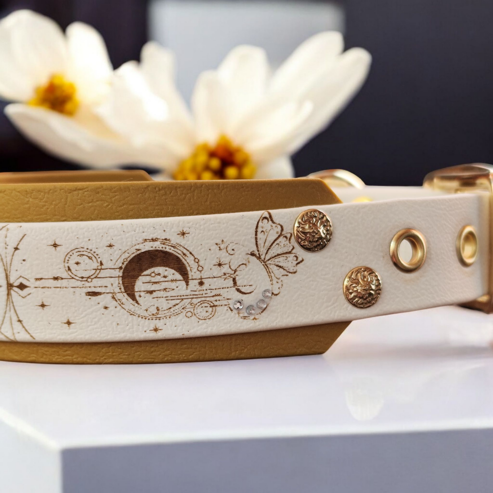 détail gros plan collier pour chien biothane gravé de papillon doré 