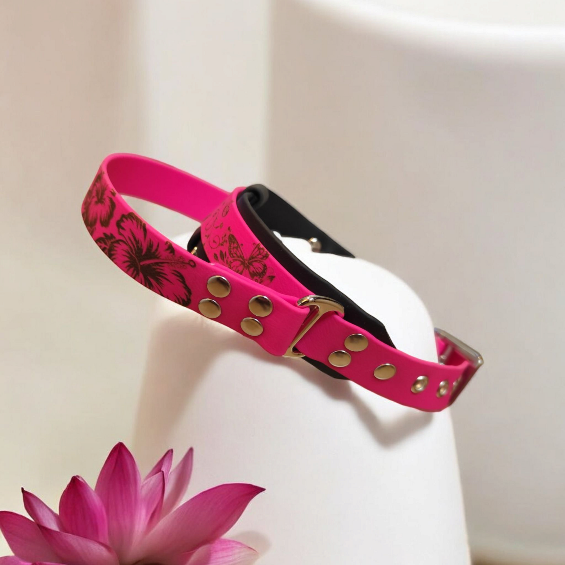 Collier chien biothane Aloha vue côté gauche, modèle personnalisé imperméable et solide