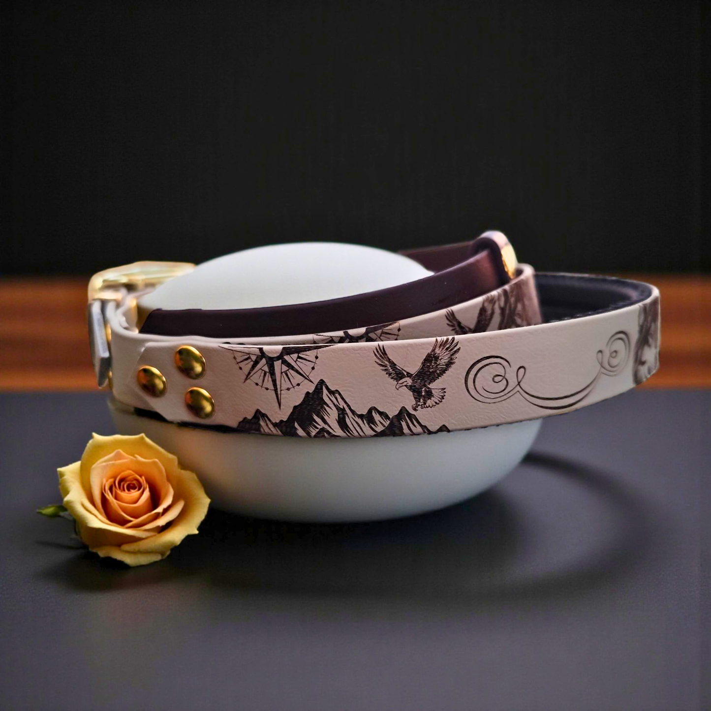 Collier chien biothane Wild Spirit avec poignée intégrée, vue de côté, style robuste et pratique