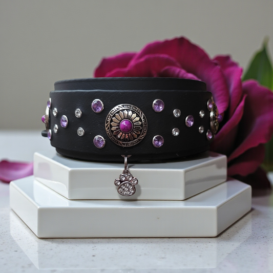 collier 50 mm pour grand chien avec strass 