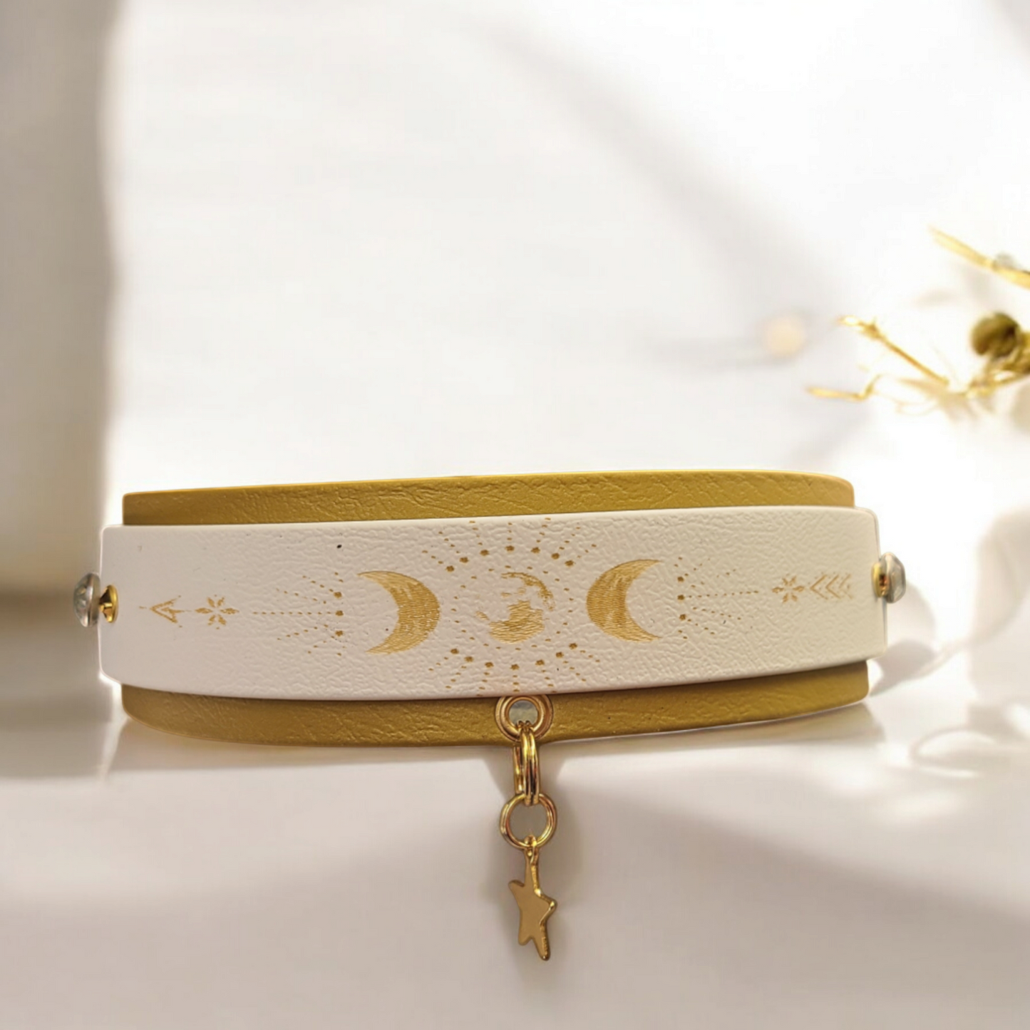 Collier chien biothane superposé Eldoréa blanc et or, vue de face avec motifs lune et étoiles