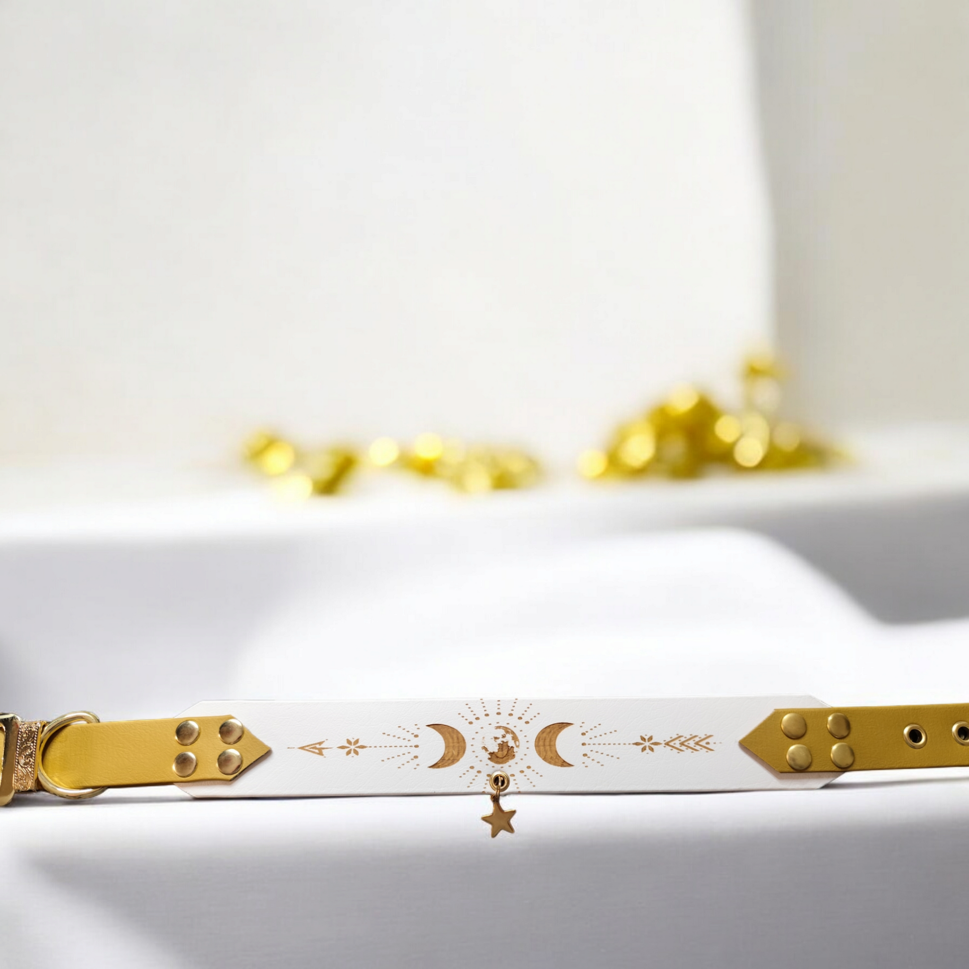 Collier biothane Eldoréa blanc et or, vue de dessus avec design complet lune et étoiles