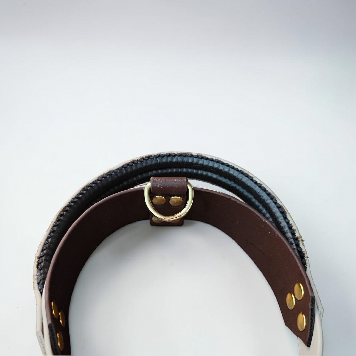 Détail collier chien biothane avec poignée rembourrée, prise en main confortable et sécurisée