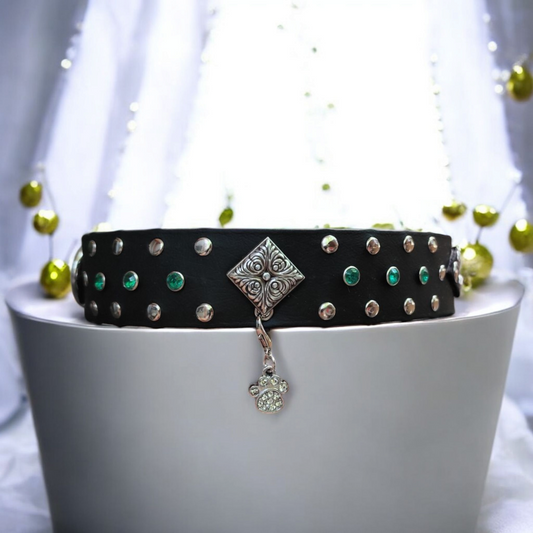 Collier pour chien - Le Valyria -