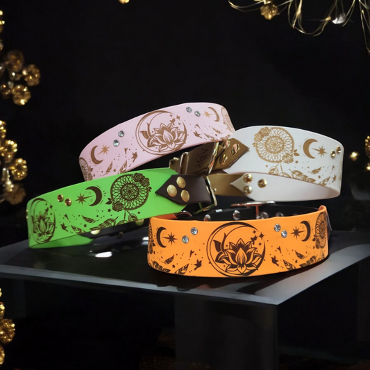 Collier pour chien - Éclat de rêve -