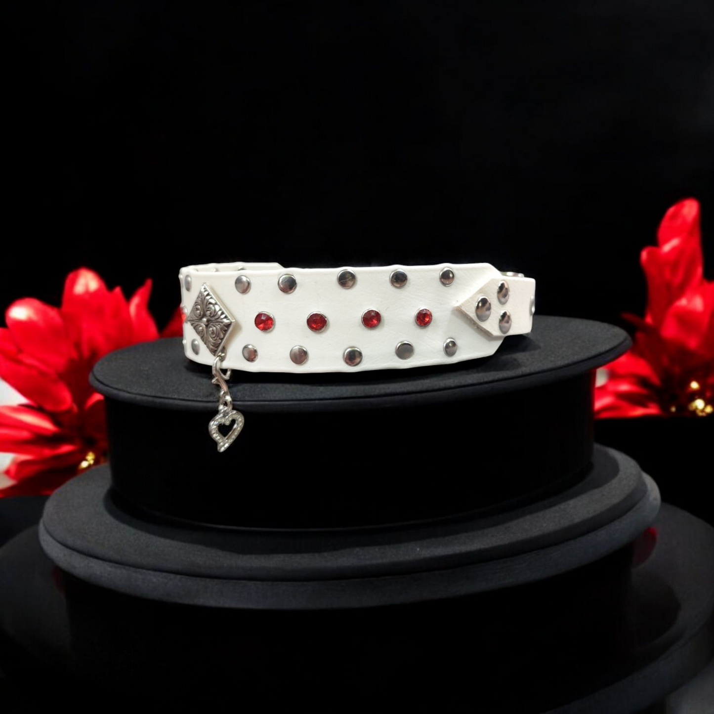 Collier pour chien - Le Valyria -