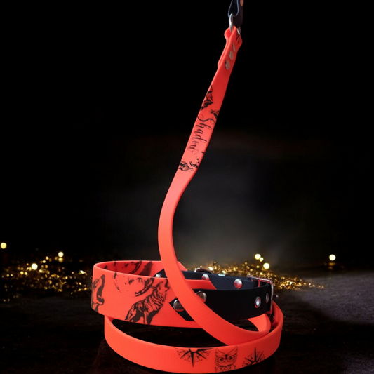 Laisse pour chien - Wild Spirit -