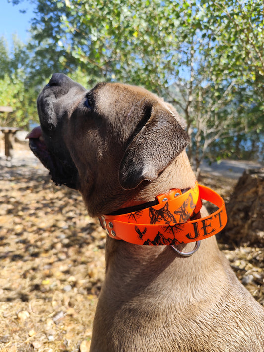 King Size - Collier pour grand chien -