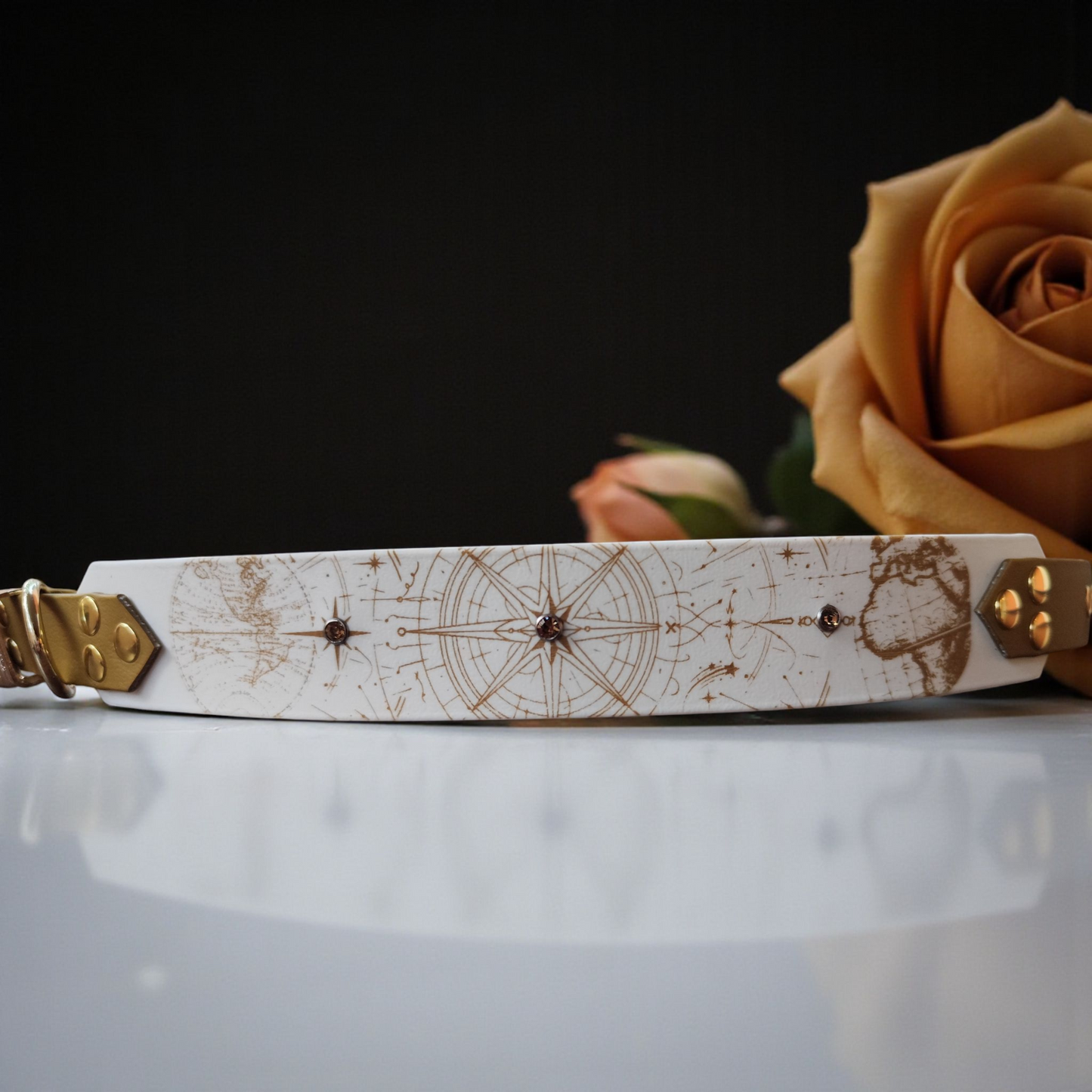 Collier Nomade – Biothane personnalisé pour chien