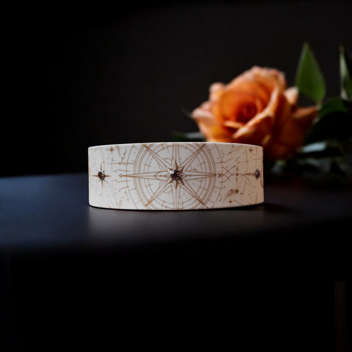 Collier Nomade – Biothane personnalisé pour chien