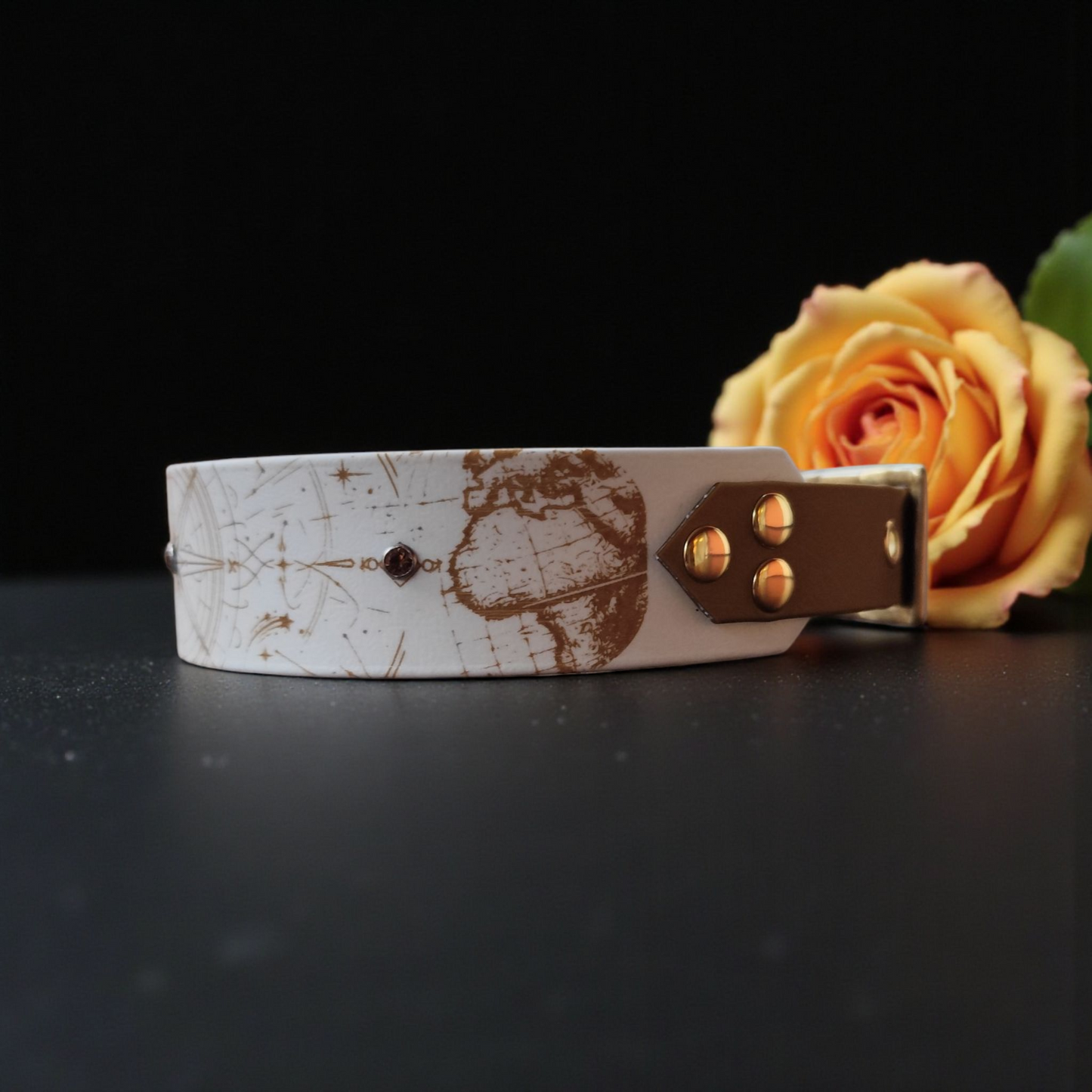 Collier Nomade – Biothane personnalisé pour chien