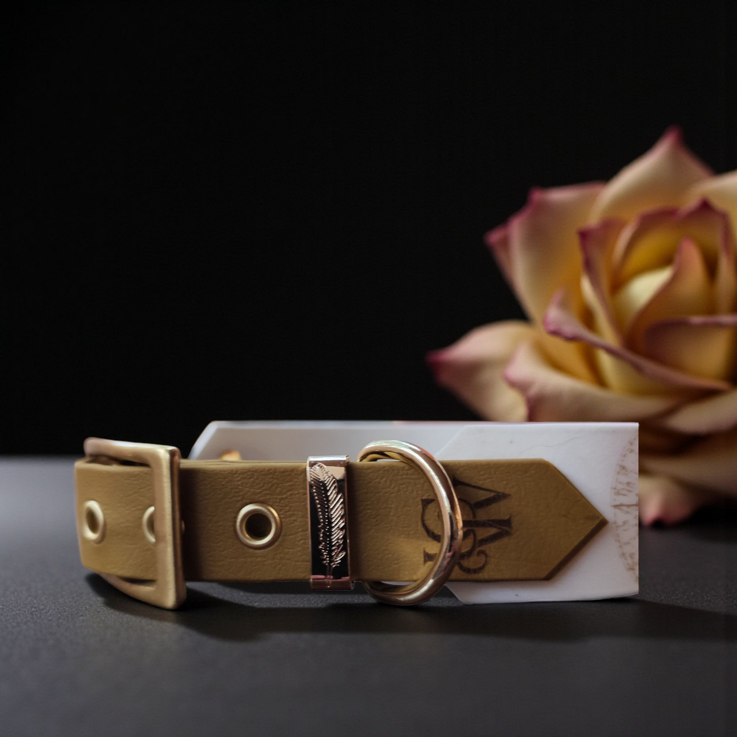 Collier Nomade – Biothane personnalisé pour chien