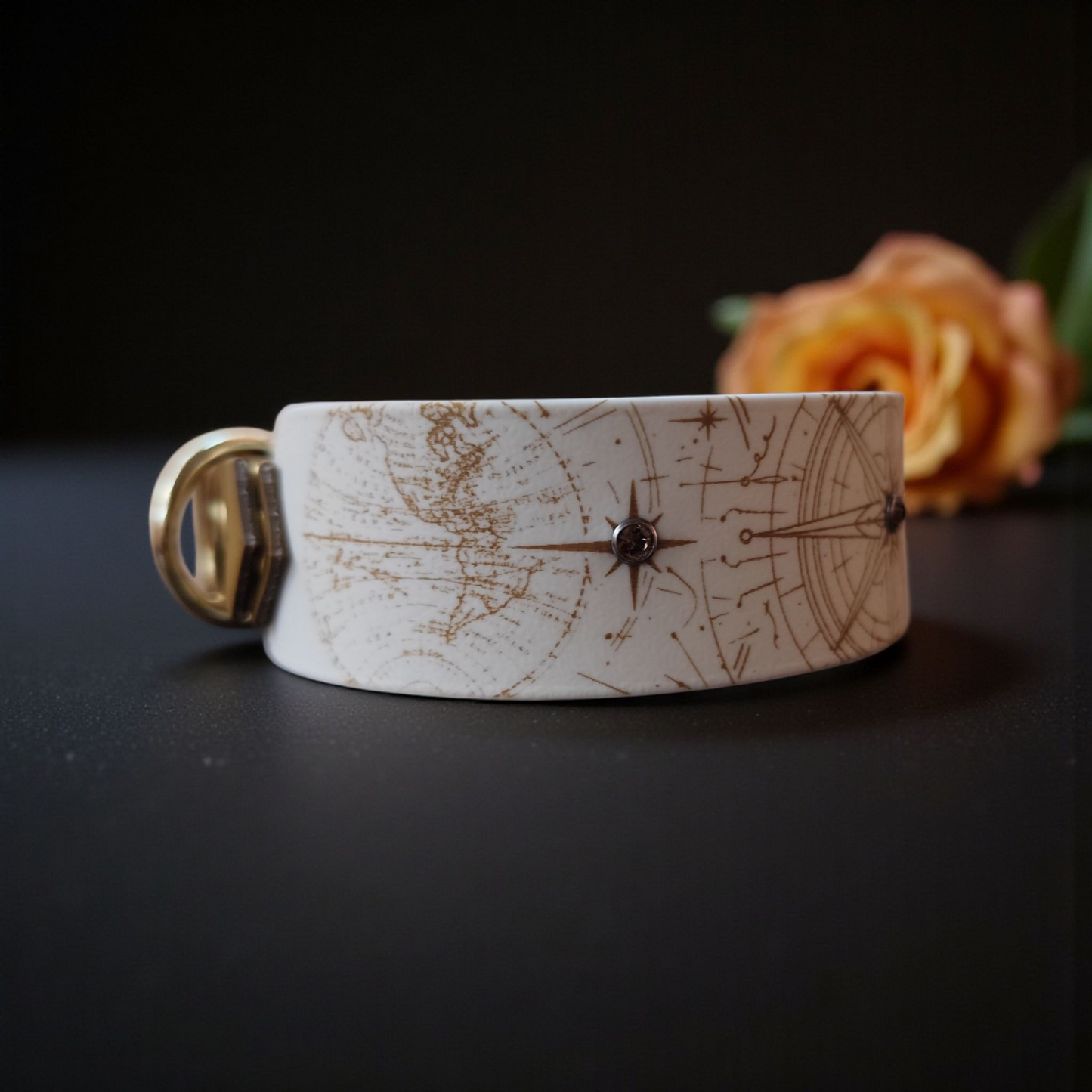 Collier Nomade – Biothane personnalisé pour chien