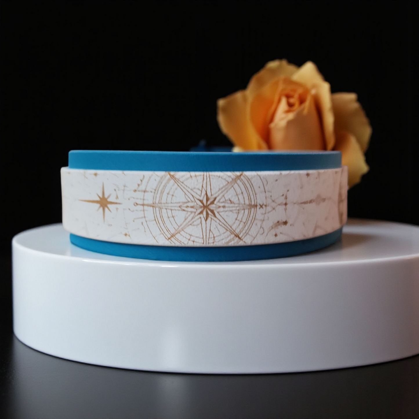 Collier Nomade – Biothane personnalisé pour chien