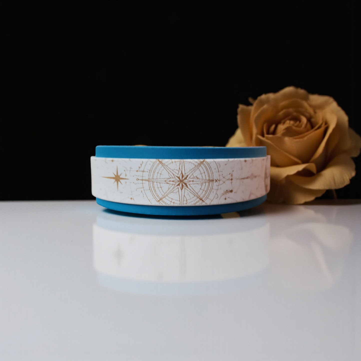 Collier Nomade – Biothane personnalisé pour chien