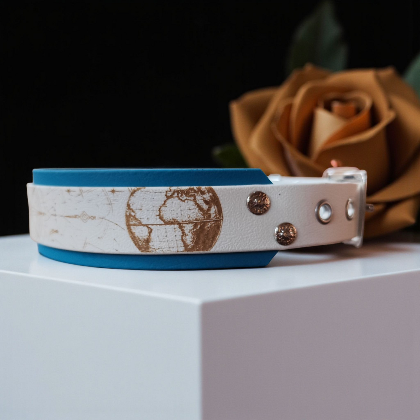 Collier Nomade – Biothane personnalisé pour chien