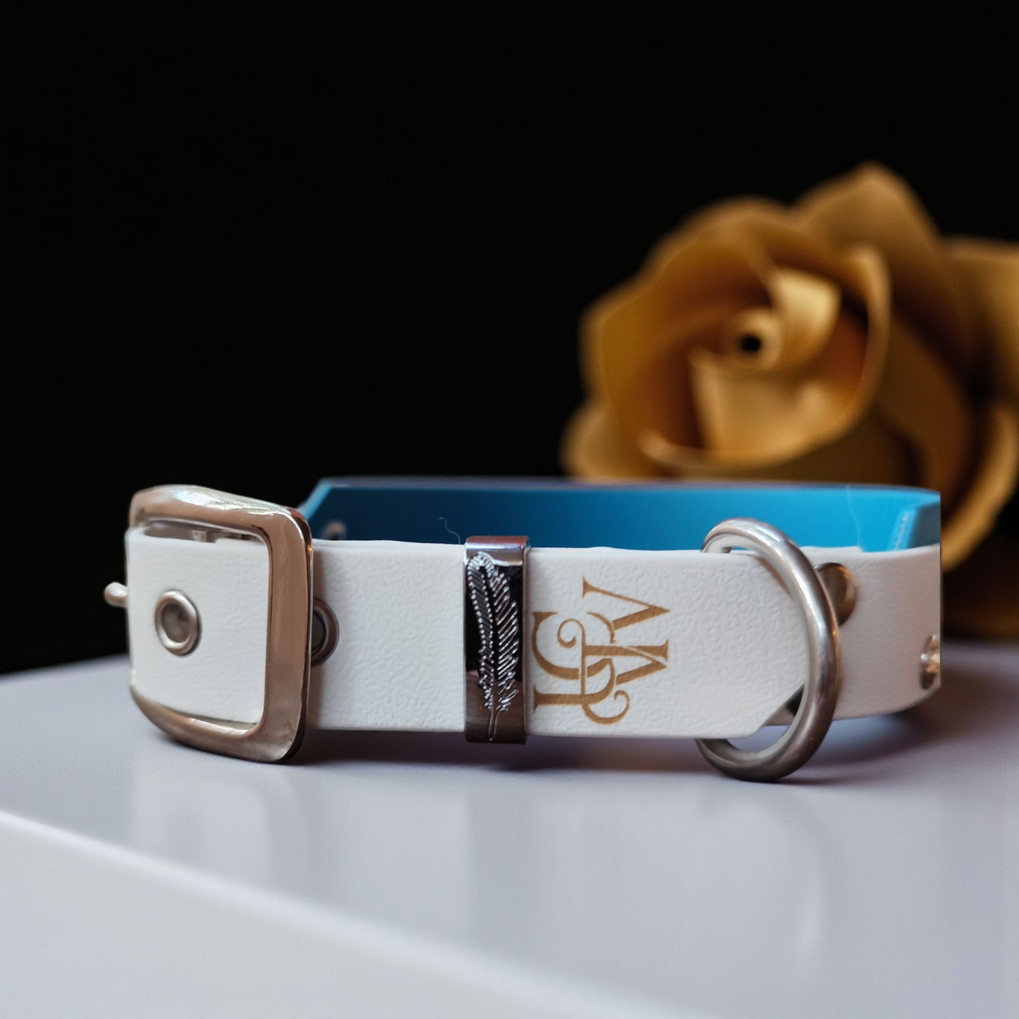 Collier Nomade – Biothane personnalisé pour chien