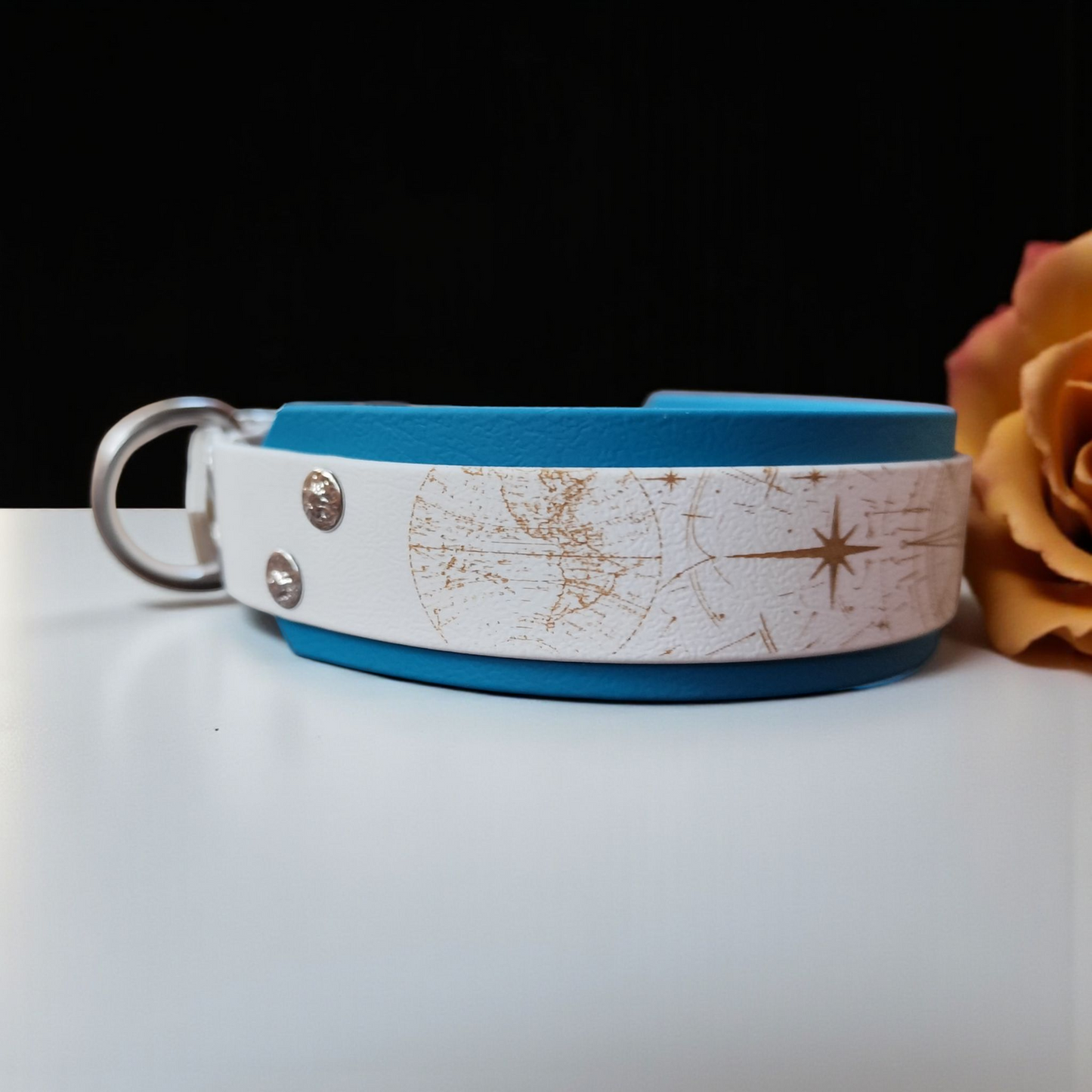 Collier Nomade – Biothane personnalisé pour chien