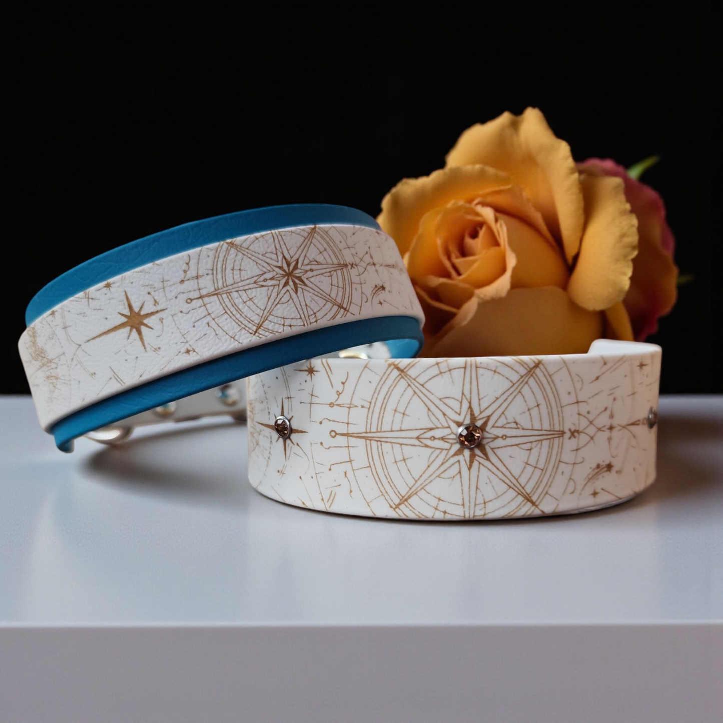 Collier Nomade – Biothane personnalisé pour chien