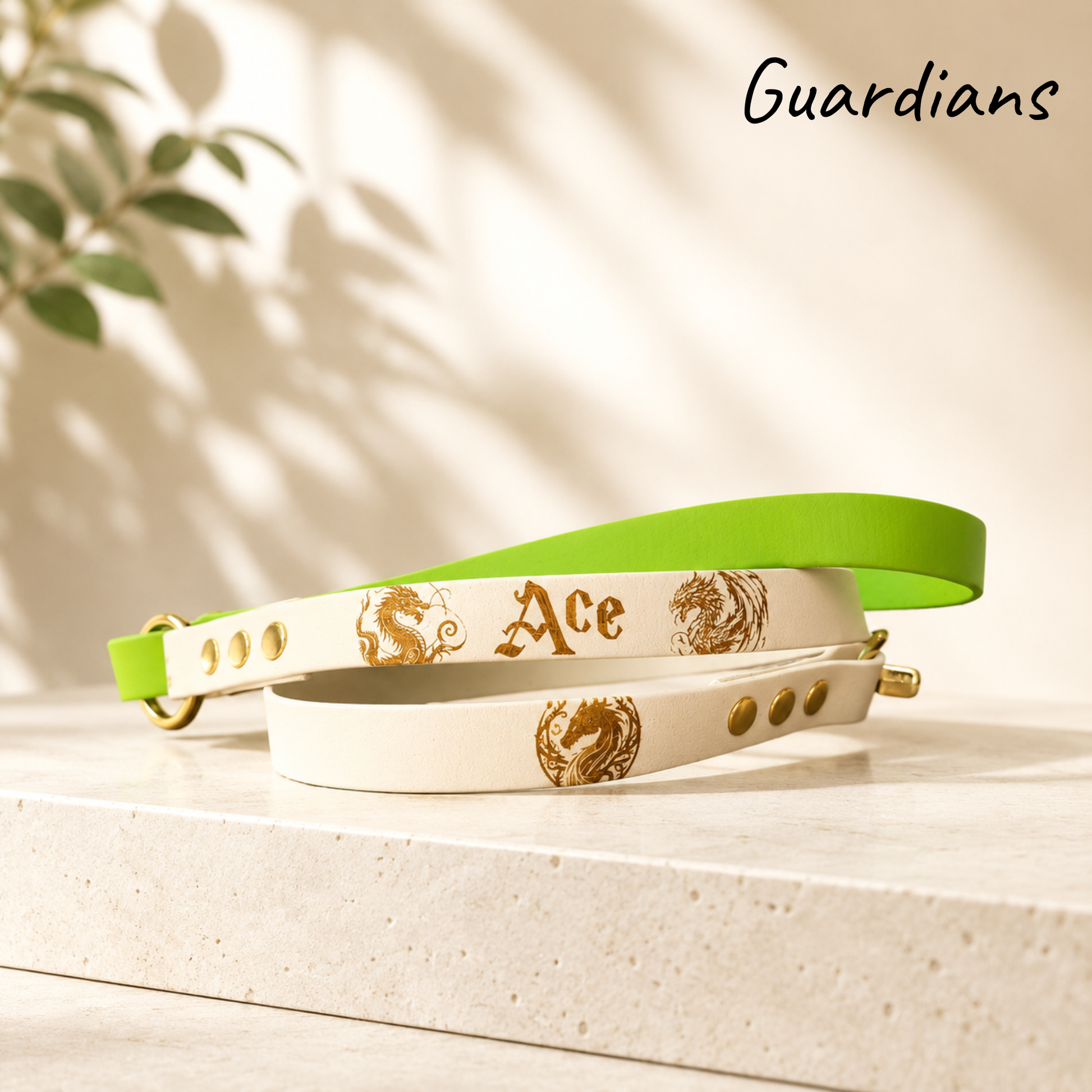 Laisse pour chien Guardians en Biothane personnalisée avec design original et fabrication artisanale