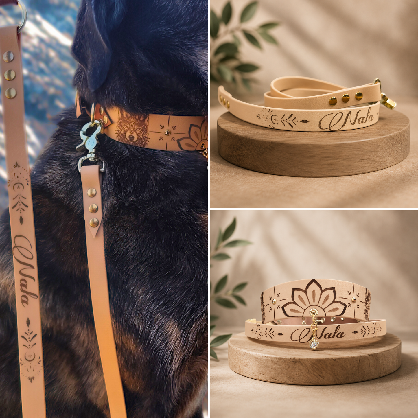 Chien portant le collier Mandalaïa assorti à une laisse personnalisée en Biothane motif mandala