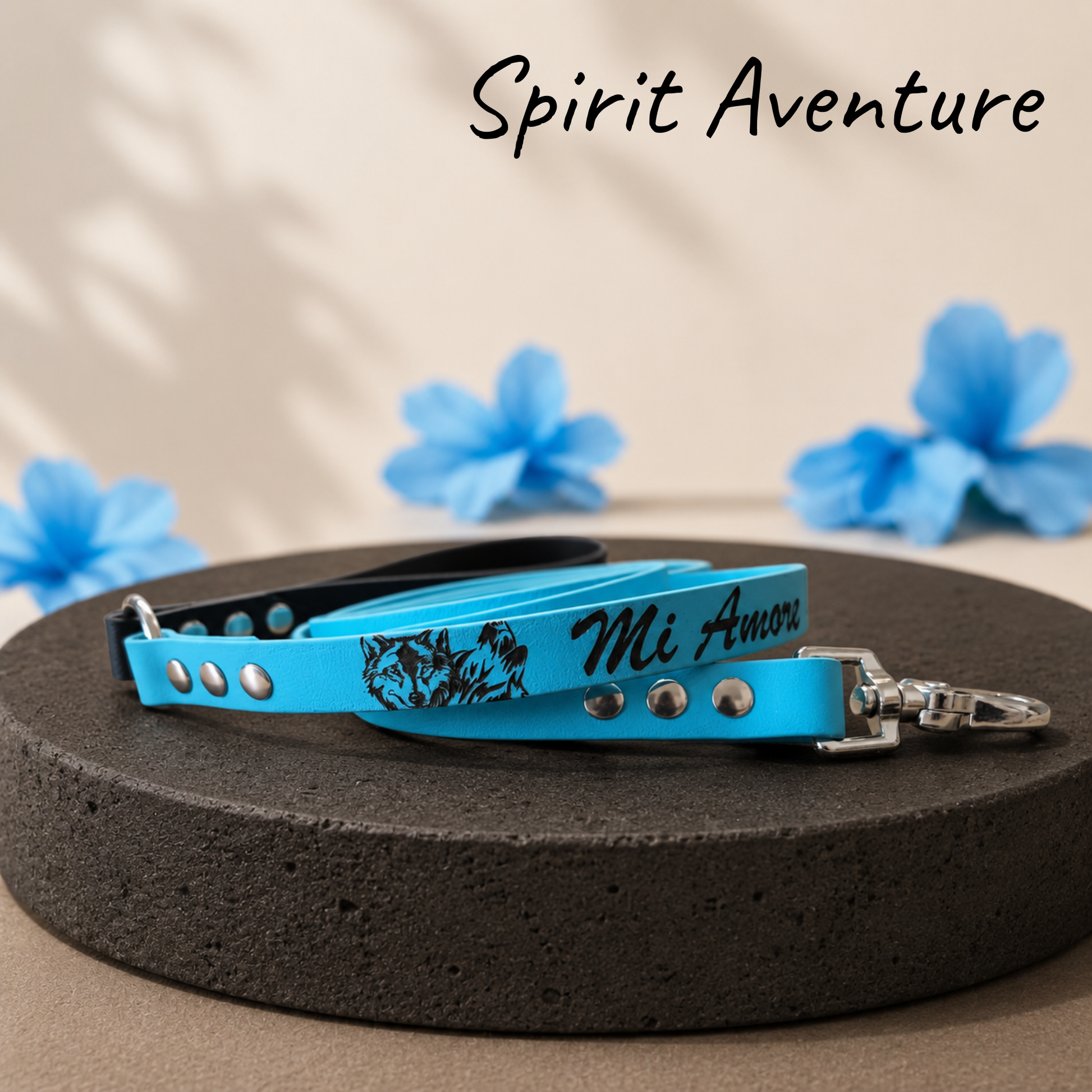 Laisse Spirit Adventure en Biothane personnalisée pour chien aventurier et sportif