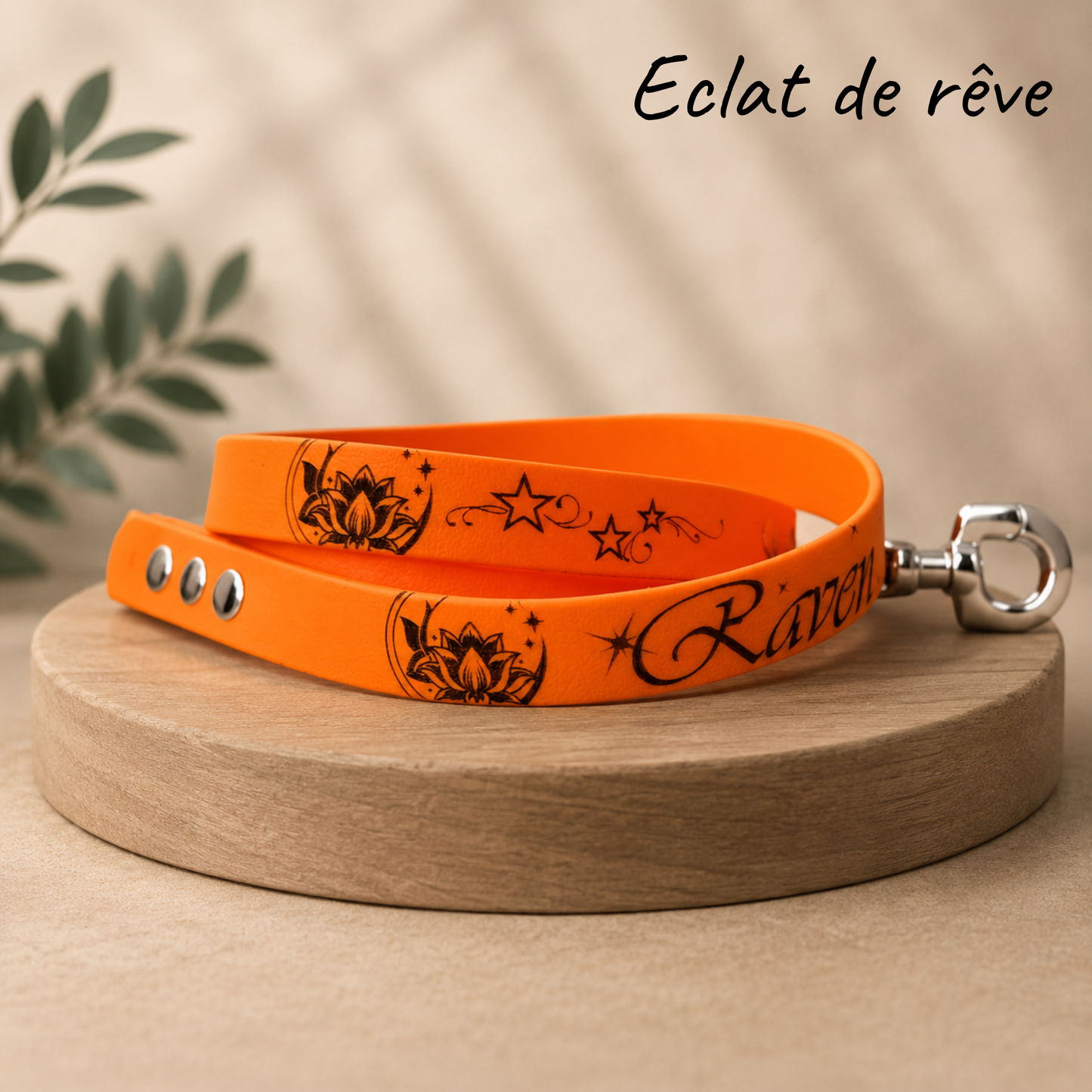 Laisse pour chien Éclat de Rêve en Biothane personnalisée avec design élégant et raffiné