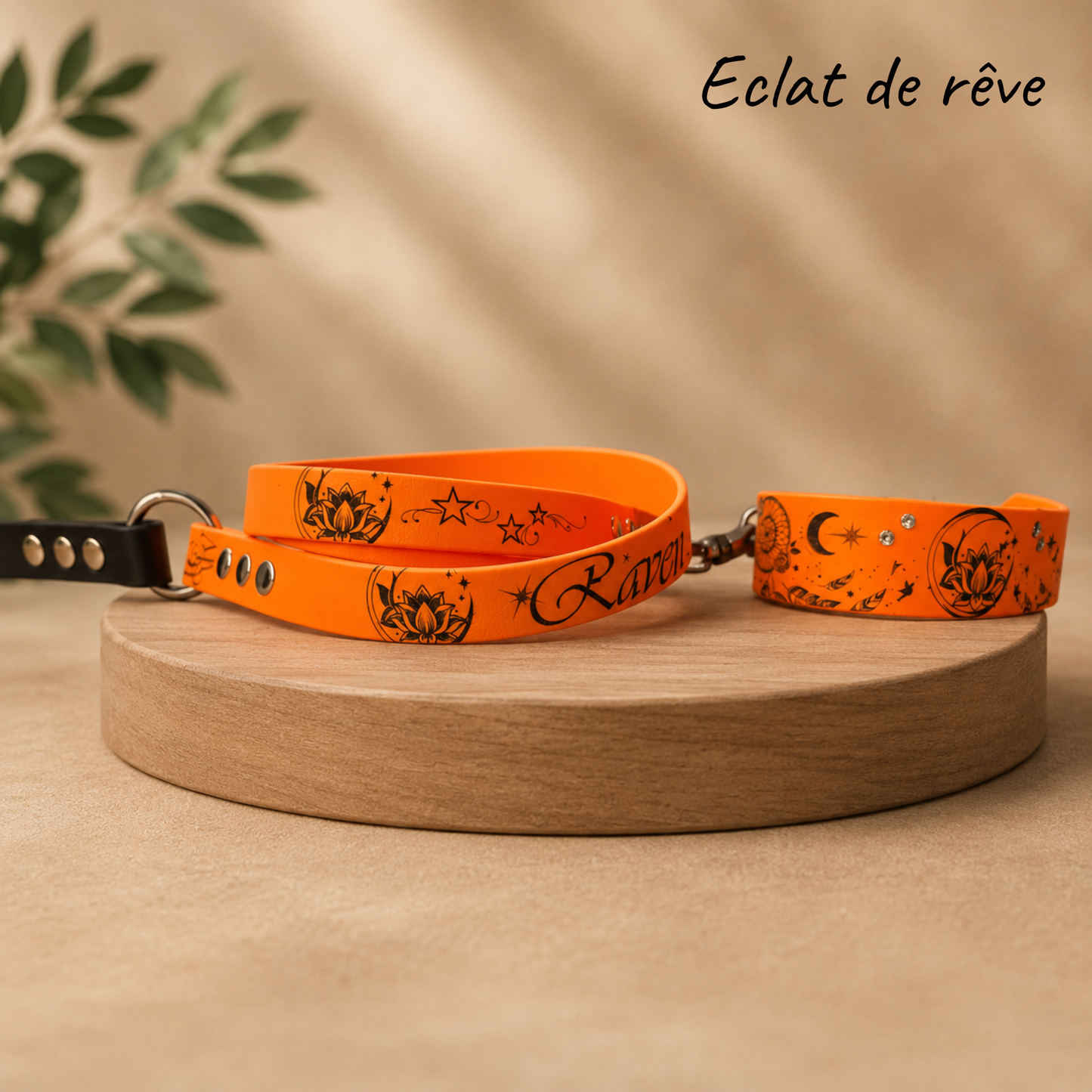 Ensemble collier et laisse Éclat de Rêve en Biothane personnalisés pour chien