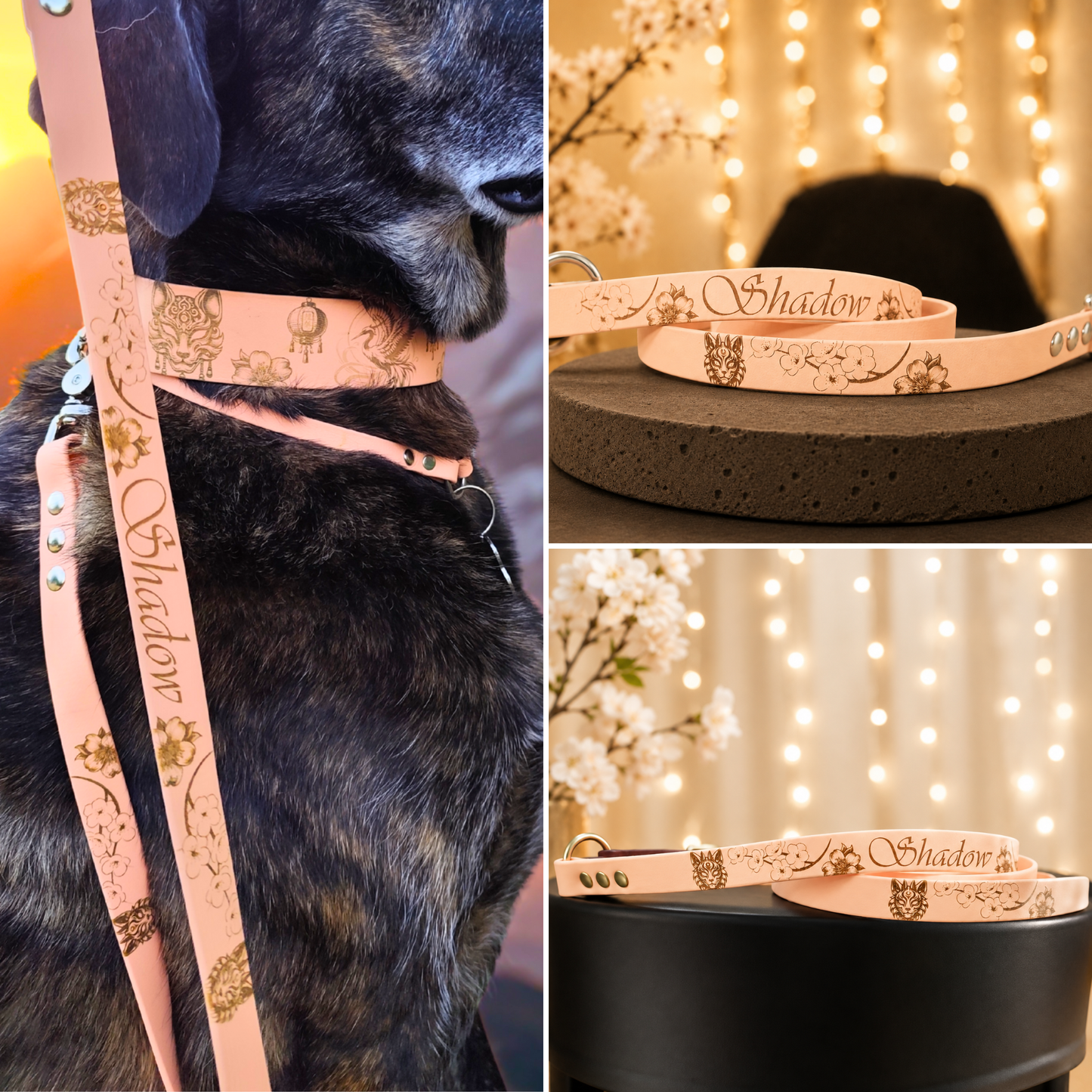Chien portant le collier Mamori et une laisse en Biothane personnalisée inspirée de l'univers japonais