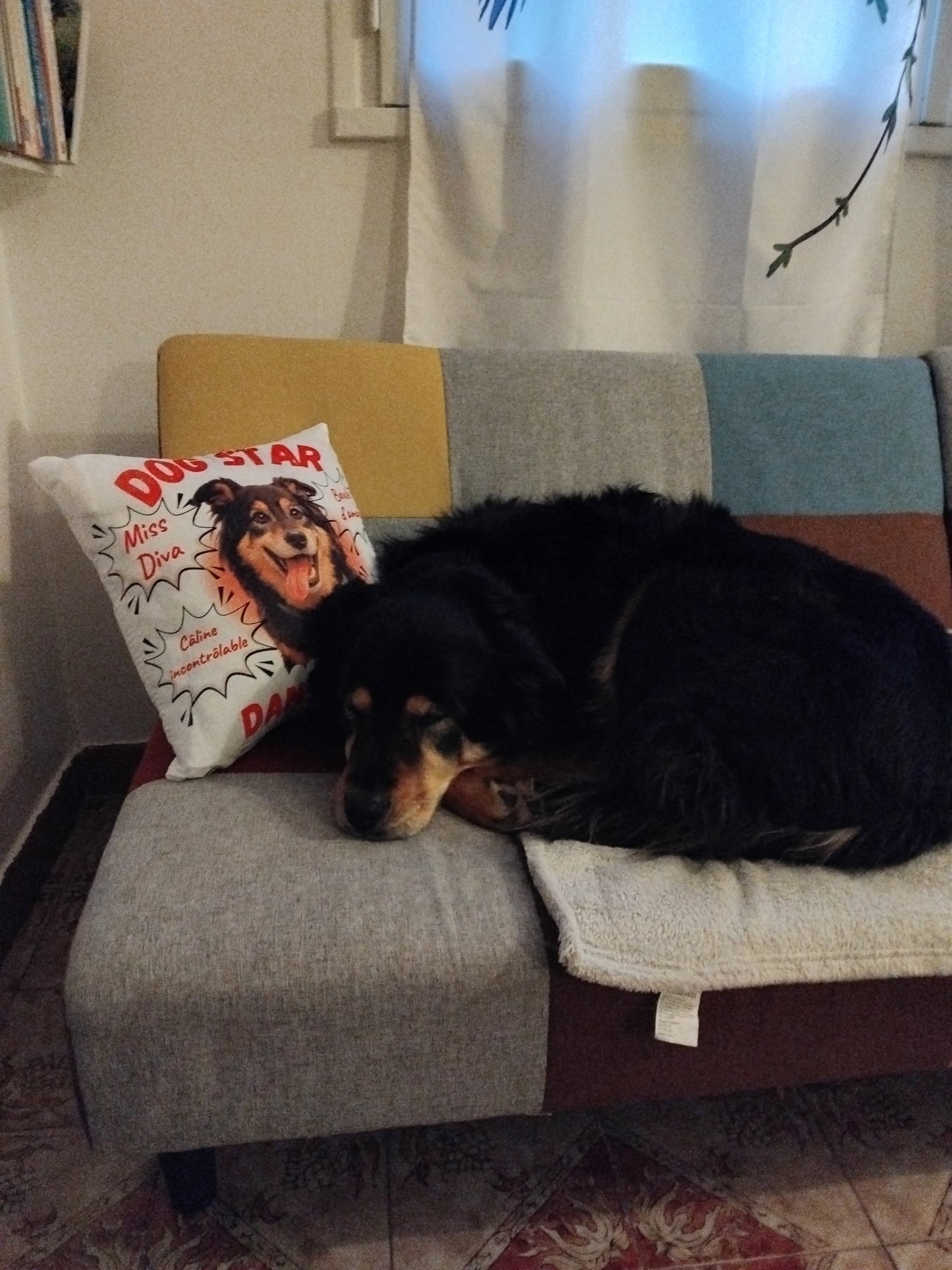 Taie d’oreiller chien drôle et mignonne, décoration intérieure personnalisée pour passionnés de chiens