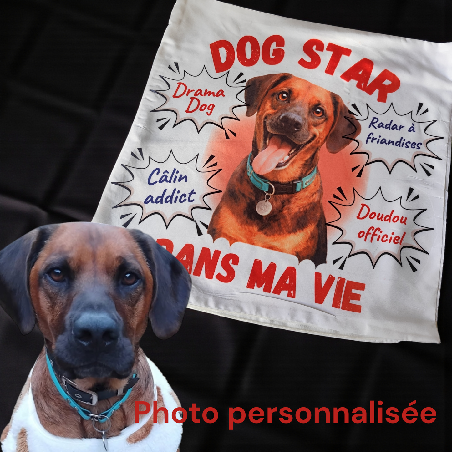 Taie d’oreiller chien personnalisée, idée cadeau originale pour propriétaire de chien
