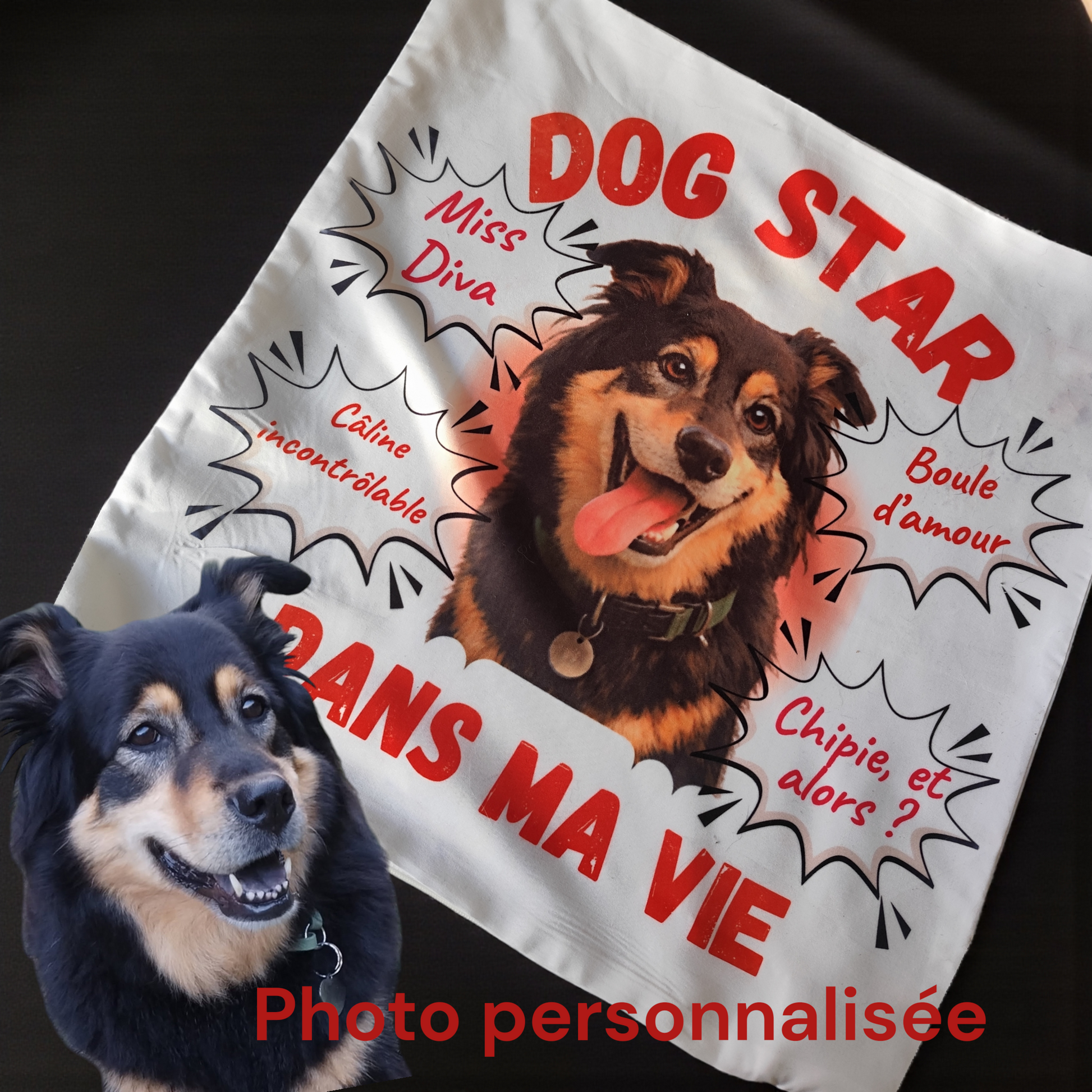 Taie d’oreiller personnalisée avec photo de chien, reproduction du chien dans un style amusant Dog Star